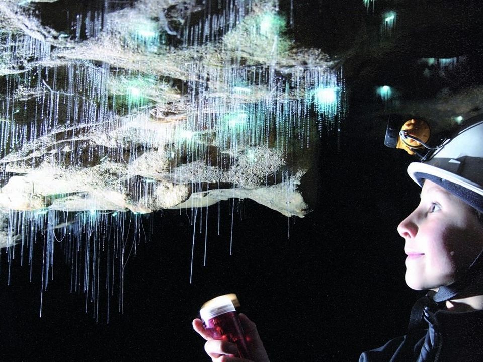 A Boy Exploring Glowworm Cave