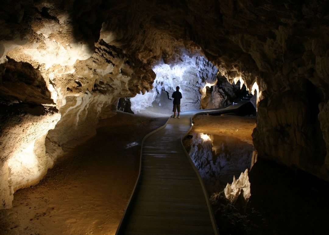 spellbound glowworm and cave tours