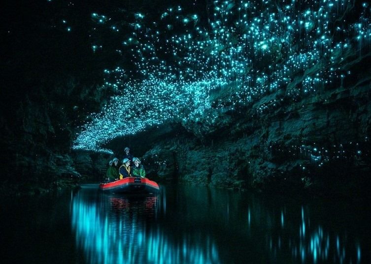 spellbound glowworm and cave tours