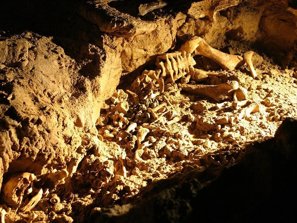 Inside Cave