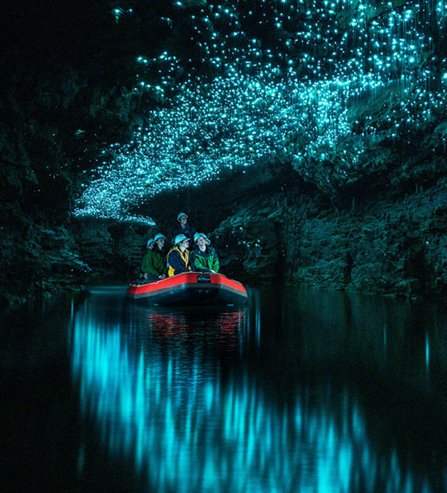 Waitomo Caves Tours Nz Spellbound Glowworm Cave Tours